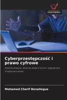 Cyberprzestępczośc i prawo cyfrowe 6209664334 Book Cover
