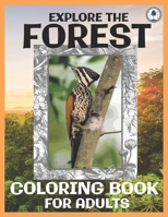 Explore The Forest Coloring Book For Adults: Explore Lovely Animals And Relaxing Nature Scenes With Realistic Coloring Images For Stress Relief B08KBH2VQC Book Cover