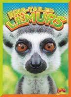 Ring-Tailed Lemurs 1644662256 Book Cover