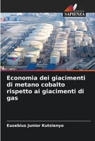 Economia dei giacimenti di metano cobalto rispetto ai giacimenti di gas (Italian Edition) 6205110431 Book Cover