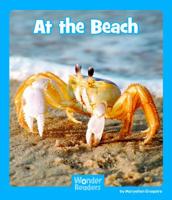 At the Beach 1429691956 Book Cover