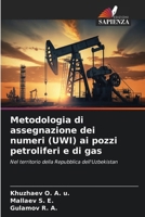 Metodologia di assegnazione dei numeri (UWI) ai pozzi petroliferi e di gas (Italian Edition) 6209396453 Book Cover