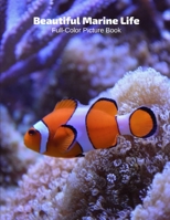 Beautiful Marine Life Full-Color Picture Book: Marine Life Picture Book for Children, Seniors and Alzheimer's Patients -Mammals Wildlife Nature 1673655556 Book Cover