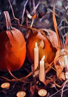 Halloween Activity Book 1723990736 Book Cover