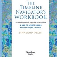 The Timeline Jumper's Guide to Financial Liberation B0DPHXVLSX Book Cover