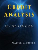 Credit Analysis 159095971X Book Cover