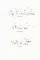 The Unsubscriber: Poems 0374530149 Book Cover