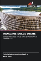 INDAGINE SULLE DIGHE: CONCENTRANDOSI SULLE CITTÀ DI PEDREIRA-SP E AMPARO-SP (Italian Edition) 6203951234 Book Cover