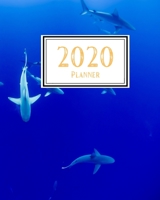 2020 Planner: Weekly and Monthly Planner Calendar Jan 1, 2020 to Dec 31, 2020: Monthly Goals Sheet 1654874795 Book Cover