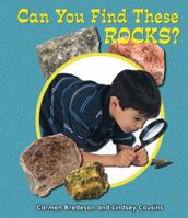 Can You Find These Rocks? 076603979X Book Cover
