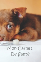 Mon Carnet de Sant?: Carnet de sant? pour consultation v?t?rinaire Taille id?ale: 120 pages Suivi m?dical pour votre chien, chiot ou animal B084F4P67J Book Cover
