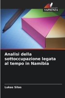 Analisi della sottoccupazione legata al tempo in Namibia (Italian Edition) 6208588901 Book Cover