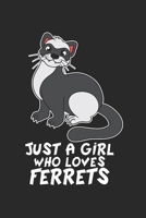 Frettchen Notizbuch: Frettchen Notizbuch f�r Liebhaber / Notizheft / Notizblock A5 (6x9in) Dotted Notebook / Punkteraster / 120 gepunktete Seiten 1671309642 Book Cover