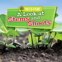 A Look at Stems and Shoots (Parts of a Plant) 1534533818 Book Cover