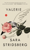 Drömfakulteten 1250619599 Book Cover