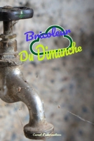 Bricoleur du dimanche: Carnet de compte et d'interventions professionnelles (French Edition) B084QM5D4R Book Cover