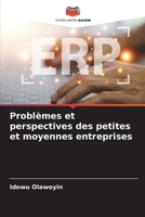 Problèmes et perspectives des petites et moyennes entreprises (French Edition) 6208523648 Book Cover