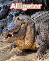 Alligator: Facts Book B0C1DX6WYN Book Cover