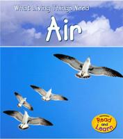 Air (Heinemann Read and Learn) 1403478821 Book Cover
