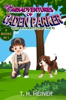 Old High Knights Year 1 : The Epic Misadventures of Caden Parker: Age 10 1947307339 Book Cover