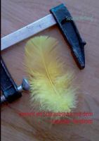 Freiheit im Schraubstock mit dem Asperger-Syndrom 3732236161 Book Cover