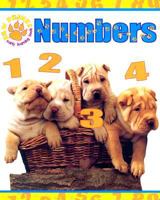 Numbers 1419401114 Book Cover