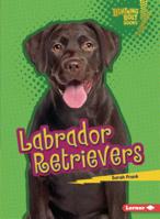 Labrador Retrievers 1541538560 Book Cover