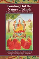 The Beauty of Awakened Mind: Dzogchen Lineage of the Great Master Shigpo Dudtsi 098340741X Book Cover