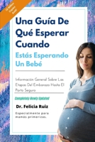 UNA GUÍA DE QUÉ ESPERAR CUANDO ESTÁS ESPERANDO UN BEBÉ: INFORMACIÓN GENERAL SOBRE LAS ETAPAS DEL EMBARAZO HASTA EL PARTO SEGURO (Spanish Edition) B0CT3YKCXN Book Cover