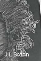 Phantom Theory B09XZJYQCZ Book Cover