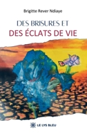 Des brisures et des éclats de vie (French Edition) B0GGQ2DVKS Book Cover