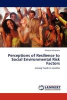 Perceptions of Resilience to Social Environmental Risk Factors 3845403179 Book Cover