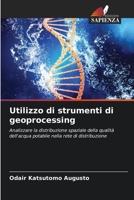Utilizzo di strumenti di geoprocessing 6207335341 Book Cover