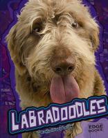 Labradoodles (Edge Books) 1429620099 Book Cover