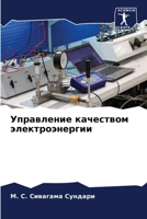 Управление качеством эл& 6205726904 Book Cover
