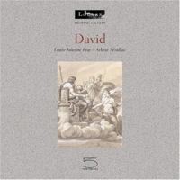 David: Louvre Drawing Gallery 8874392508 Book Cover