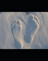 Foot First Legacy: A Guide for Accountability, Masculinity, and Legacy Building B0GYFNWV5K Book Cover