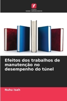 Efeitos dos trabalhos de manutenção no desempenho do túnel (Portuguese Edition) 6207137469 Book Cover