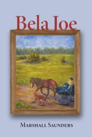 Bela Joe 1039106781 Book Cover