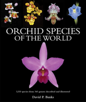 Orchid Species of the World: 3,333 species from 343 genera described and illustrated 1760796395 Book Cover