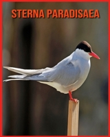 Sterna Paradisaea: Immagini stupende e fatti divertenti sugli animali della natura B08XLGJPWY Book Cover