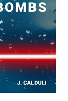 Flashbombs: Journey of vengeance through a political rabbit-hole B08HRSJ298 Book Cover