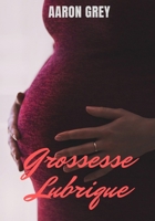 Grossesse Lubrique: Roman érotique, interdit au moins de 18 ans null Book Cover