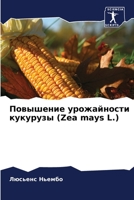 Повышение урожайности кукурузы (Zea mays L.) 6205914085 Book Cover