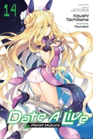 Date A Live, Vol. 14 (light novel) (Date A Live (light novel), 14) 1975372395 Book Cover