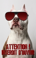 Attention ! Interdit d'ouvrir: carnet de mots de passe | Vos adresses internet et codes secrets en sécurité - français, petit format, index alphabétique - couverture humour chien B0863TW2T2 Book Cover