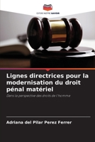 Lignes directrices pour la modernisation du droit pénal matériel: Dans la perspective des droits de l'homme 6205849038 Book Cover