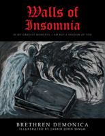 Walls of Insomnia: In My Darkest Moments, I Am But a Shadow of You 1482882841 Book Cover