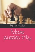 Maze puzzles triky B0BYLZY7PT Book Cover