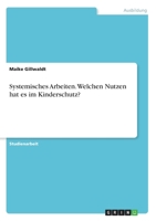 Systemisches Arbeiten. Welchen Nutzen hat es im Kinderschutz? (German Edition) 3346084094 Book Cover
